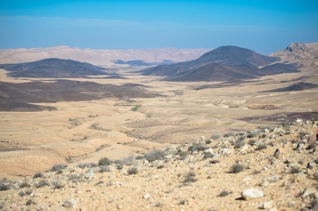 Alpaca Farm - חוות האלפקות Villa Mitzpe Ramon Exterior photo