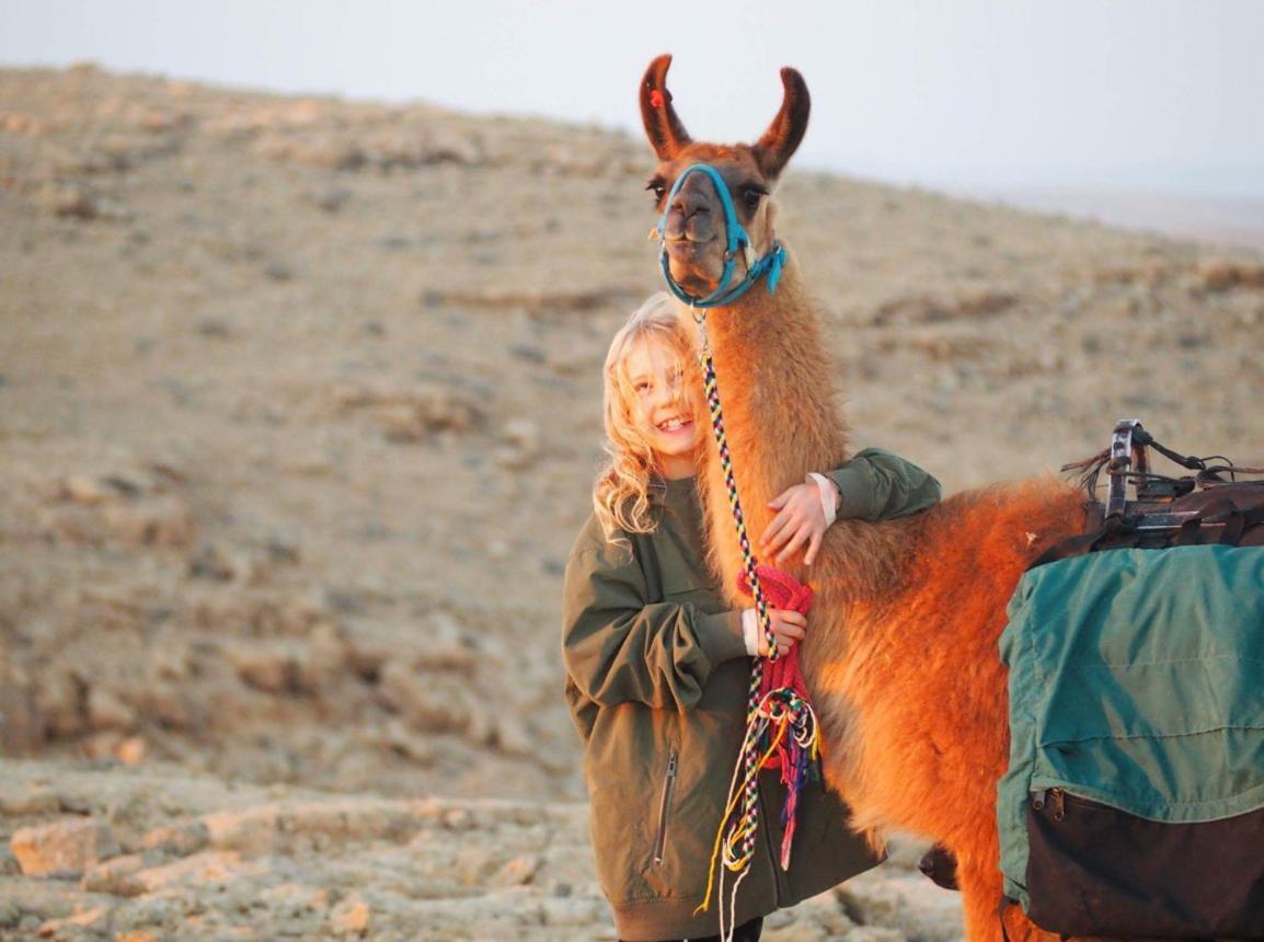 Alpaca Farm - חוות האלפקות Villa Mitzpe Ramon Exterior photo