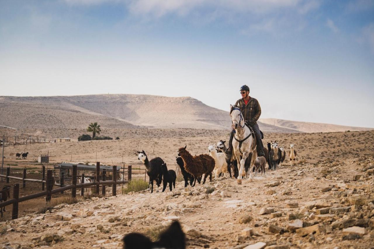 Alpaca Farm - חוות האלפקות Villa Mitzpe Ramon Exterior photo