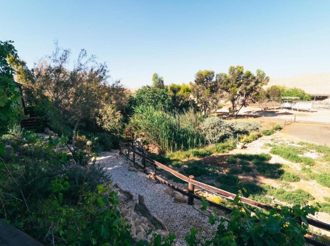 Alpaca Farm - חוות האלפקות Villa Mitzpe Ramon Exterior photo