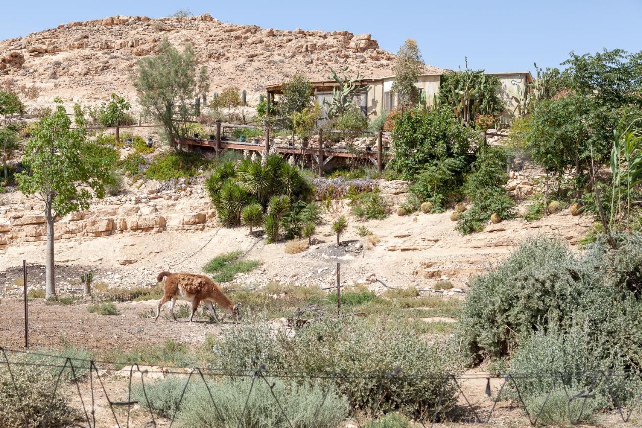 Alpaca Farm - חוות האלפקות Villa Mitzpe Ramon Exterior photo