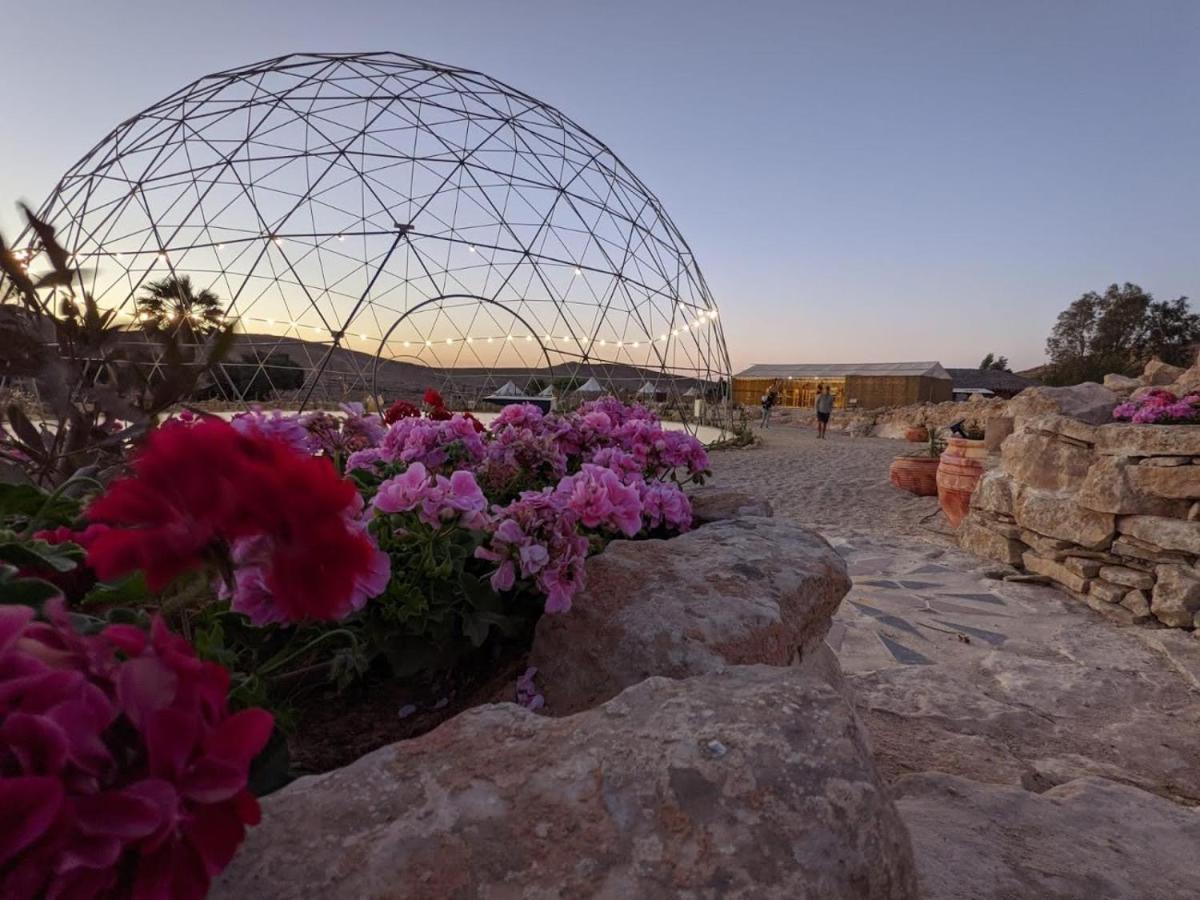 Alpaca Farm - חוות האלפקות Villa Mitzpe Ramon Exterior photo