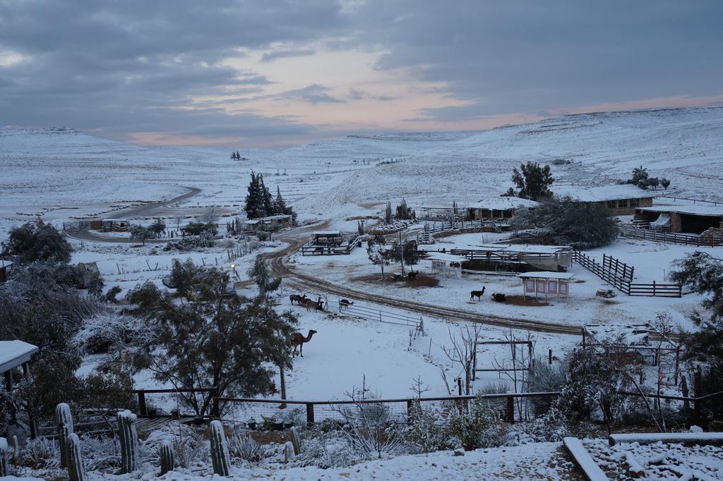 Alpaca Farm - חוות האלפקות Villa Mitzpe Ramon Exterior photo