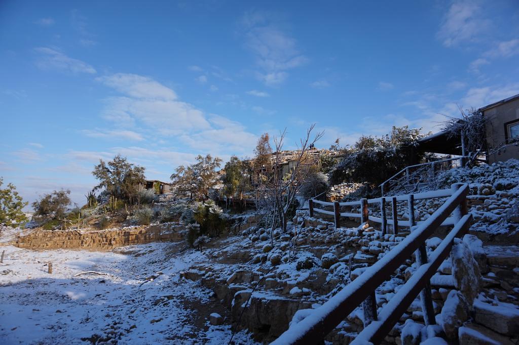 Alpaca Farm - חוות האלפקות Villa Mitzpe Ramon Exterior photo