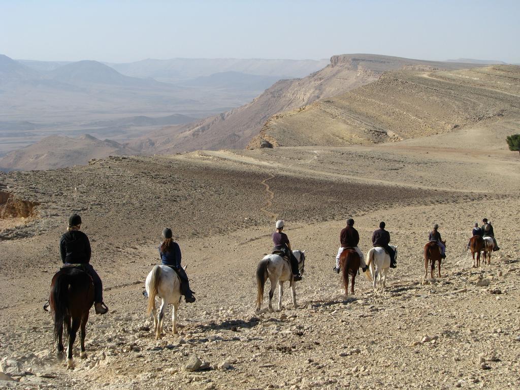 Alpaca Farm - חוות האלפקות Villa Mitzpe Ramon Exterior photo