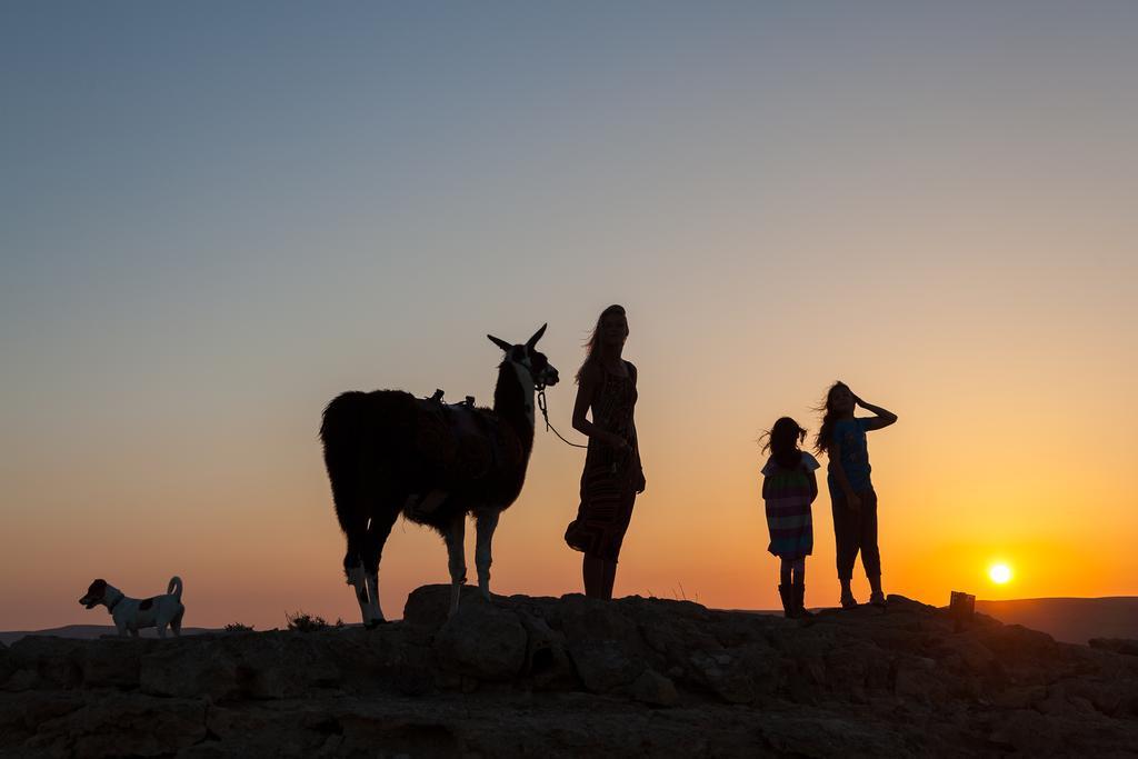 Alpaca Farm - חוות האלפקות Villa Mitzpe Ramon Exterior photo