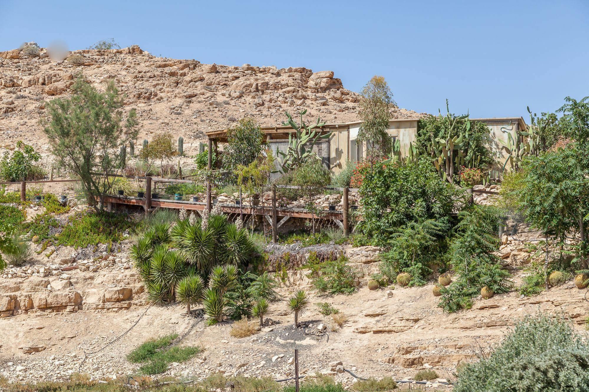 Alpaca Farm - חוות האלפקות Villa Mitzpe Ramon Exterior photo